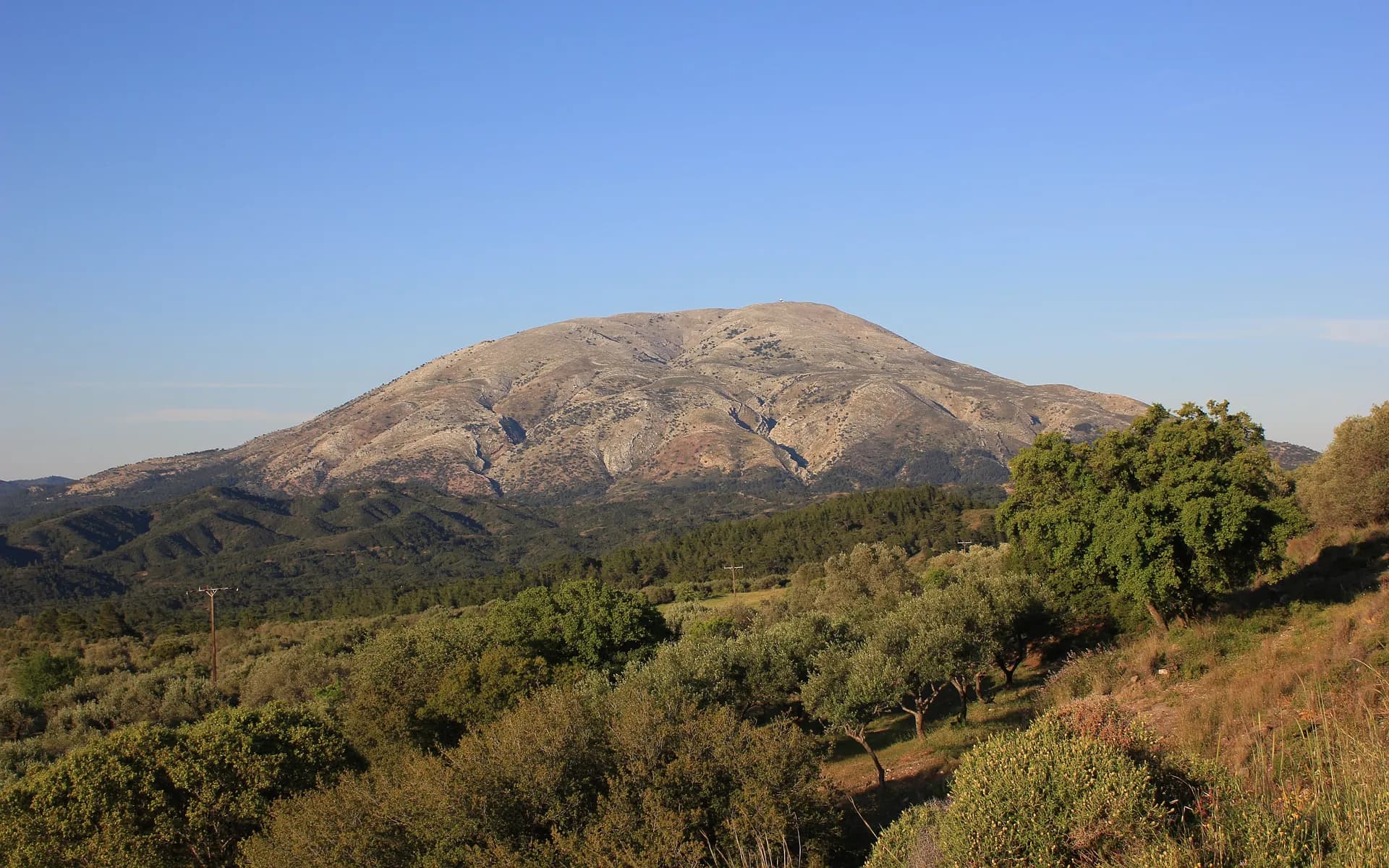 Picture of attavyros