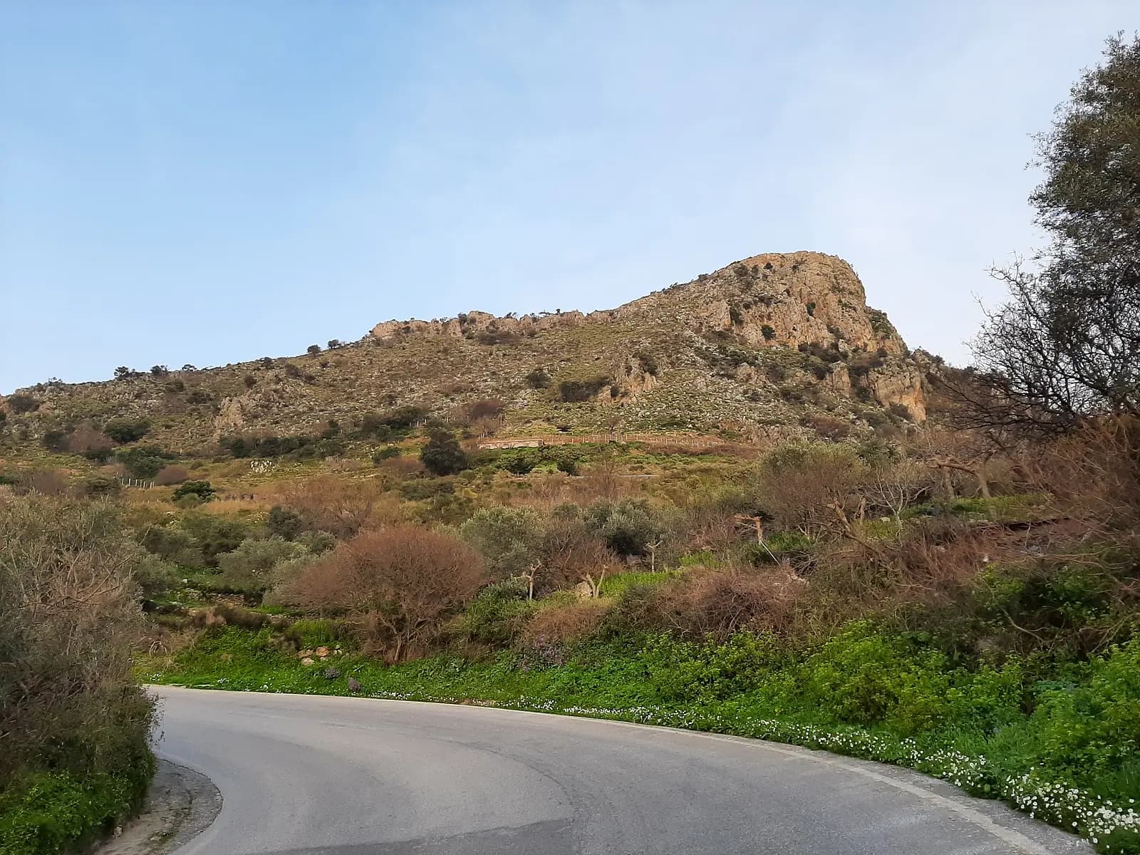 Picture of azonas