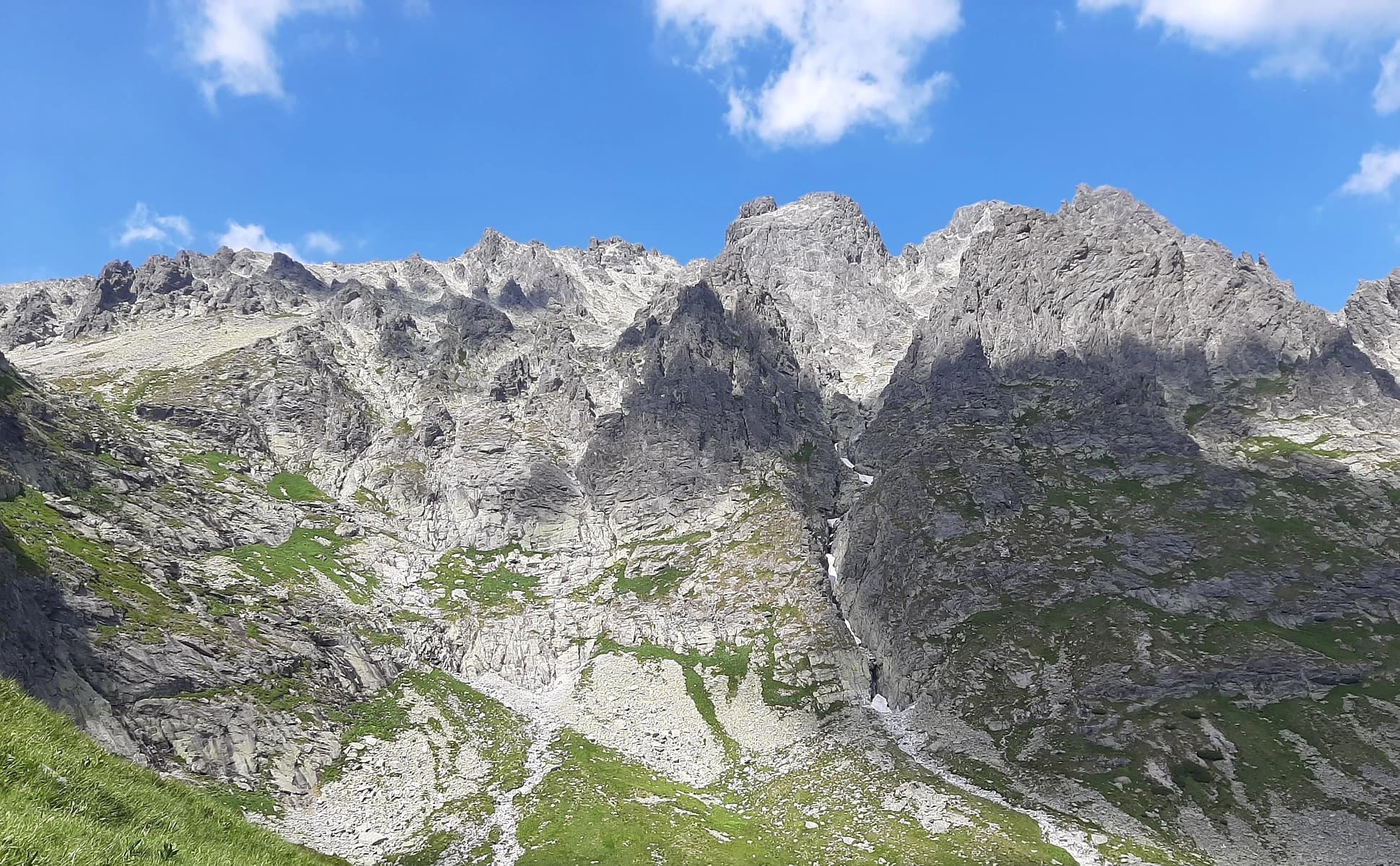 Picture of bradavica