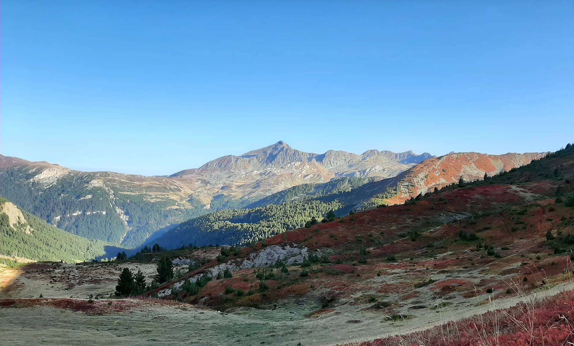 Main category picture