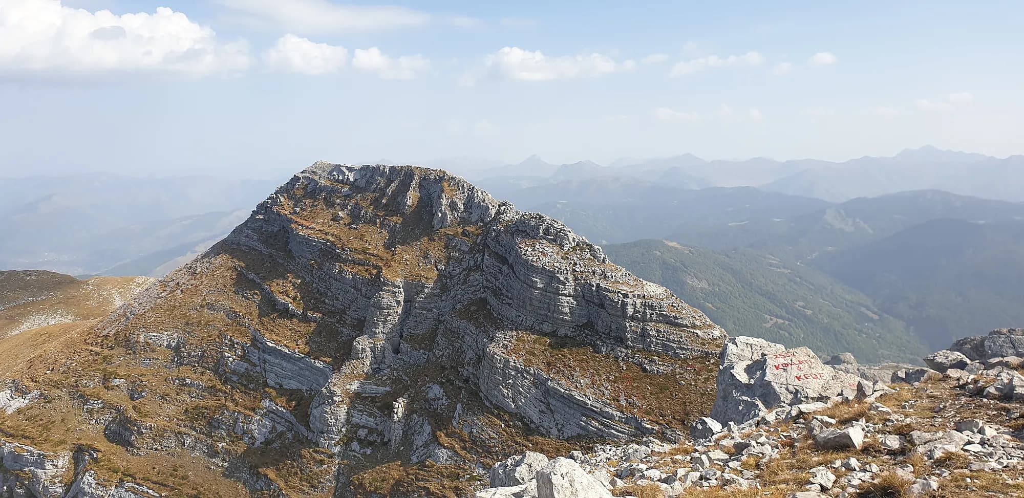 Picture of kolata