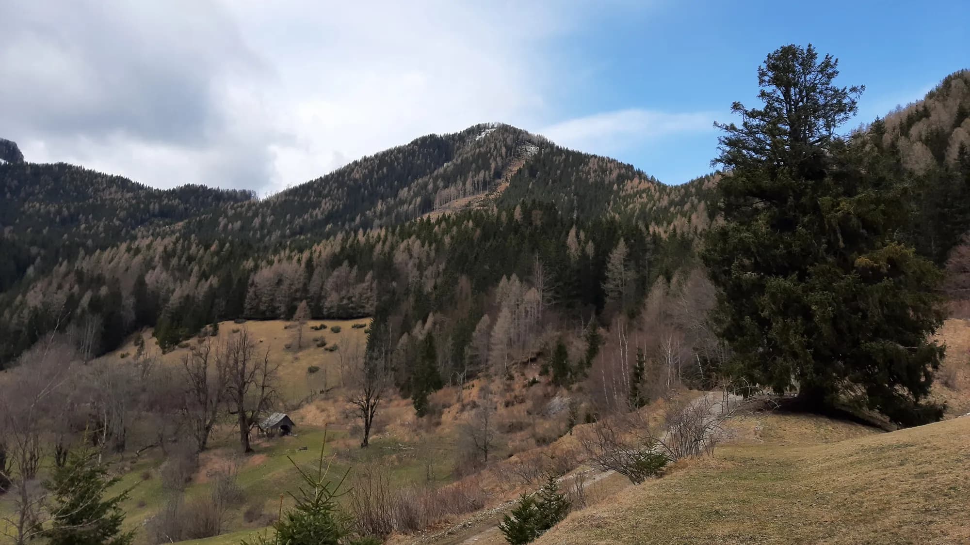 Picture of matschacher-gupf