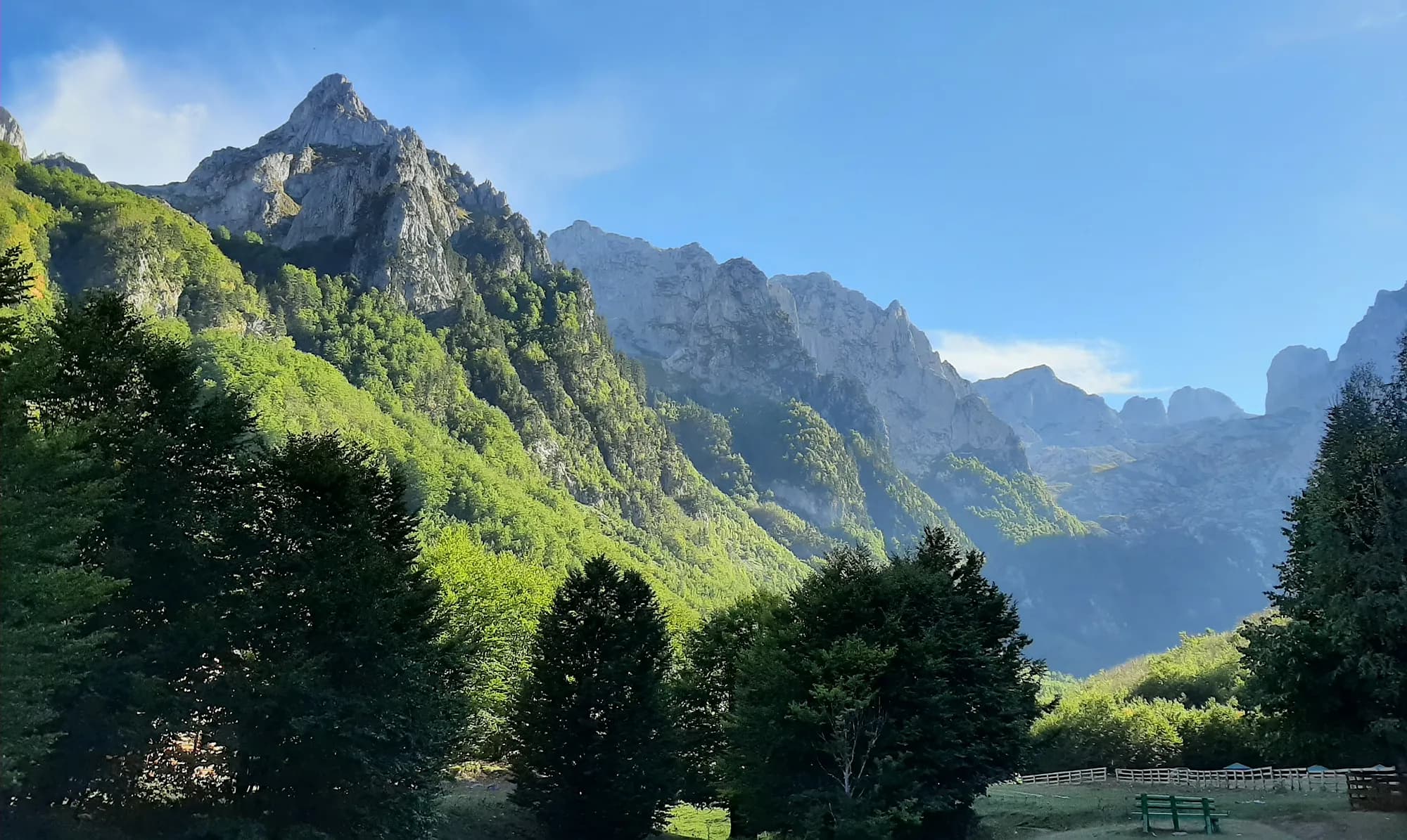 Main category picture