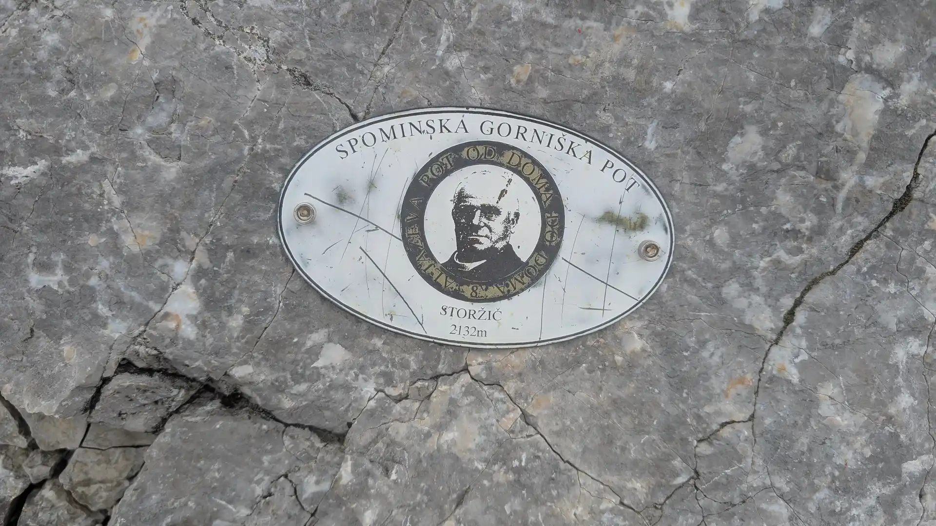 Picture of storzic-zrelo