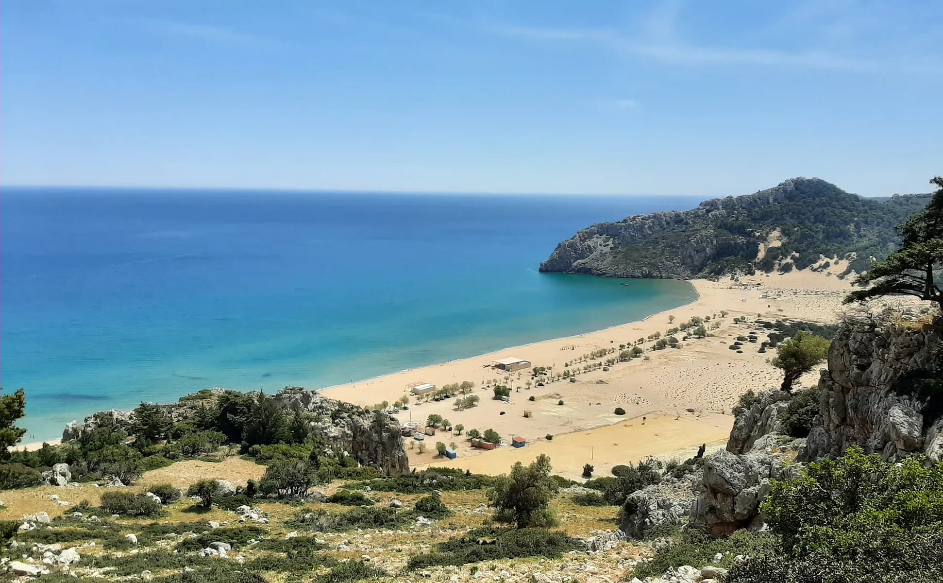 Picture of tsambika