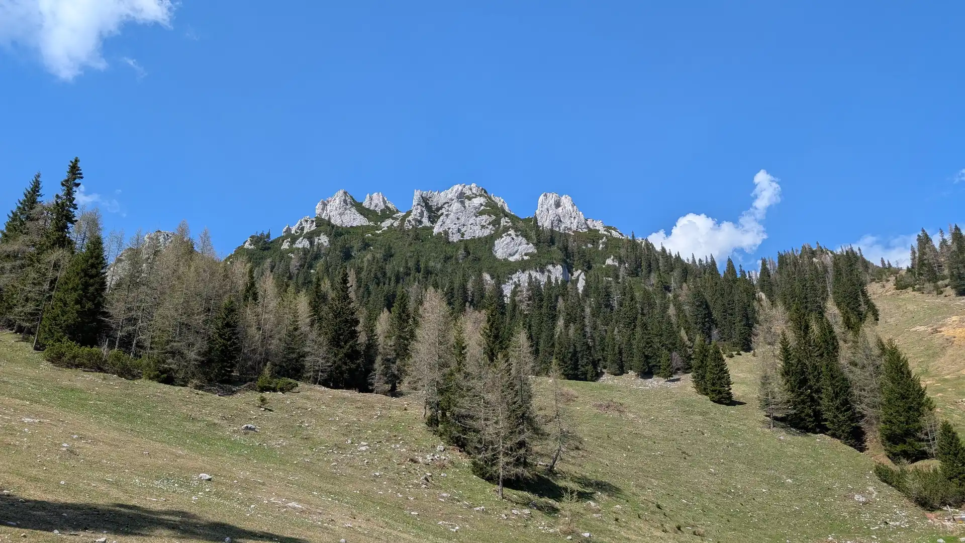 Picture of zelenica-south-east-ridge