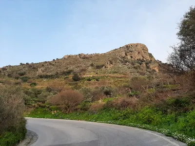 azonas