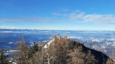 matzen-dollich